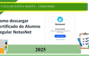 Notasnet enero